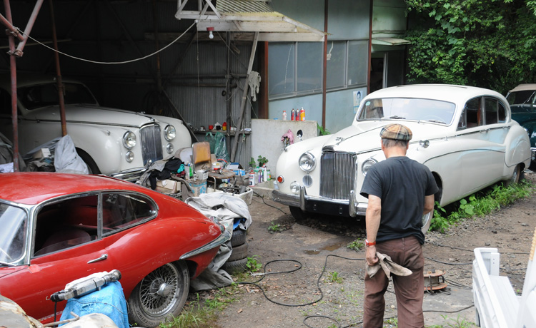 ジャガーと軽自動車 楽しき密林再生工房